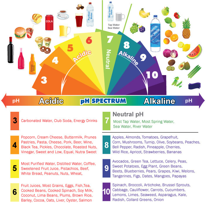 Acidic vs. alkaline foods