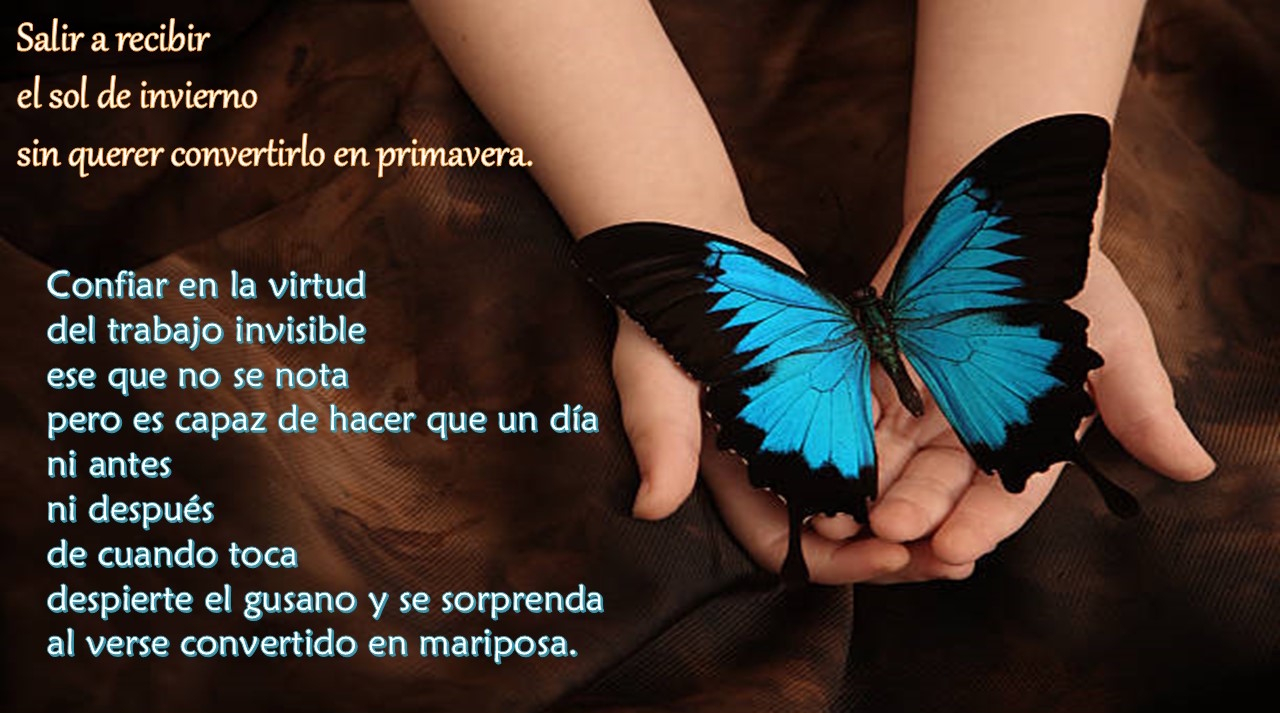 Confiar