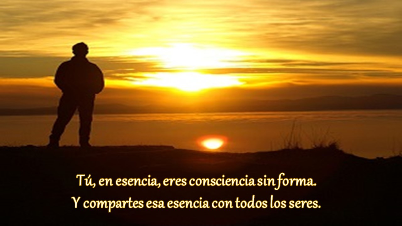 Consciencia sin forma