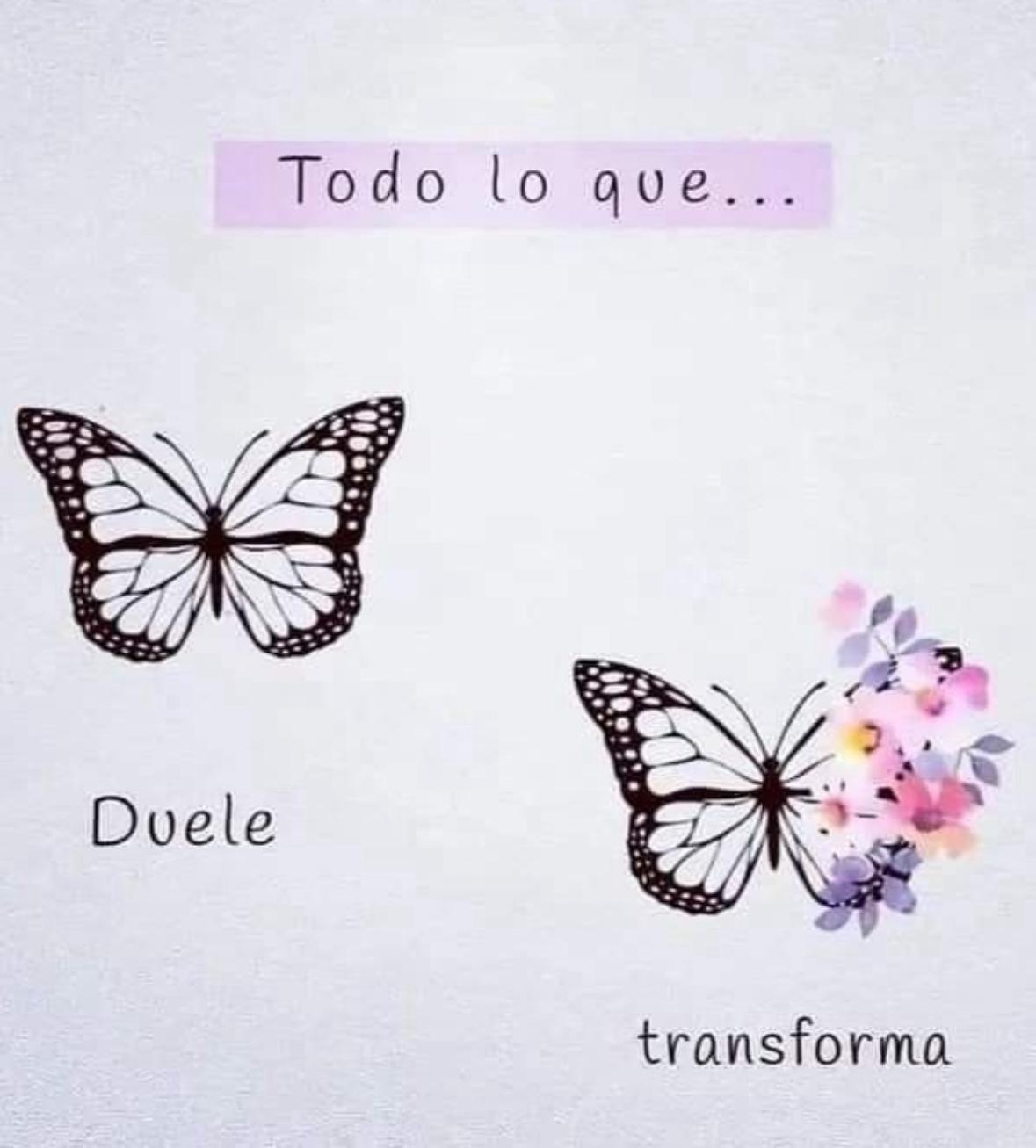 Lo que duele, transforma