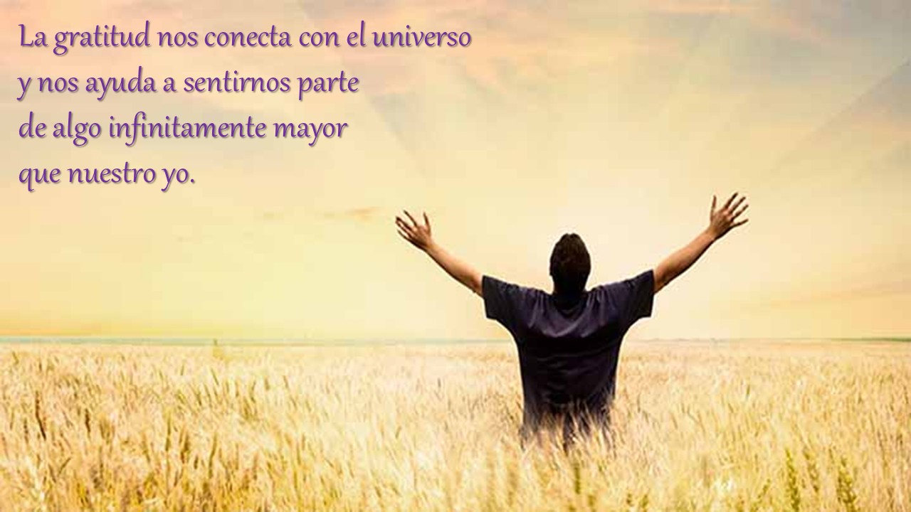 Gratitud