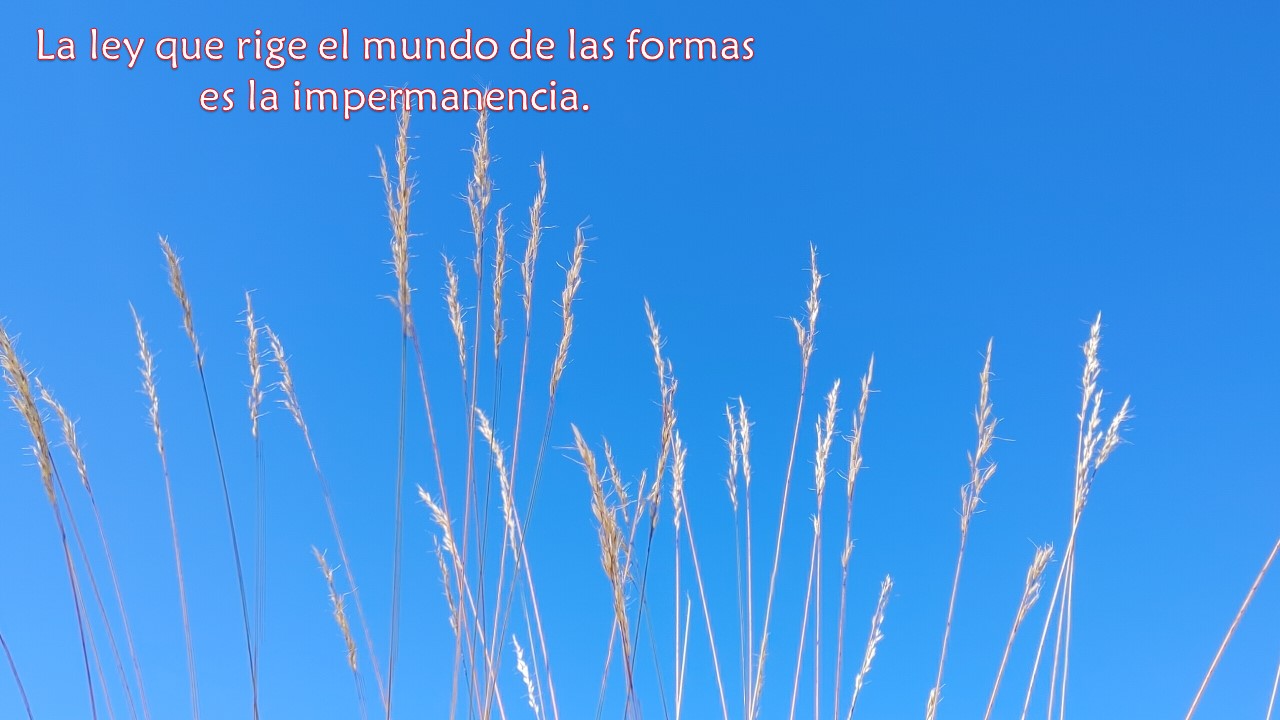 Impermanencia