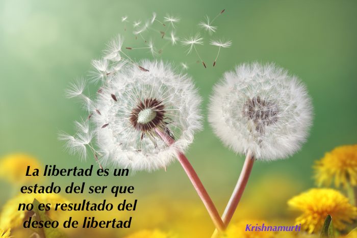 Libertad