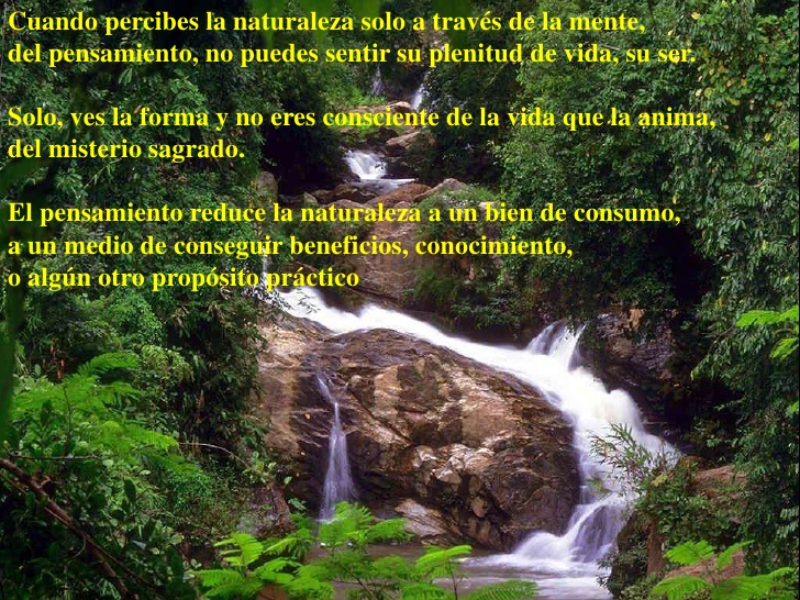 La Naturaleza pensada