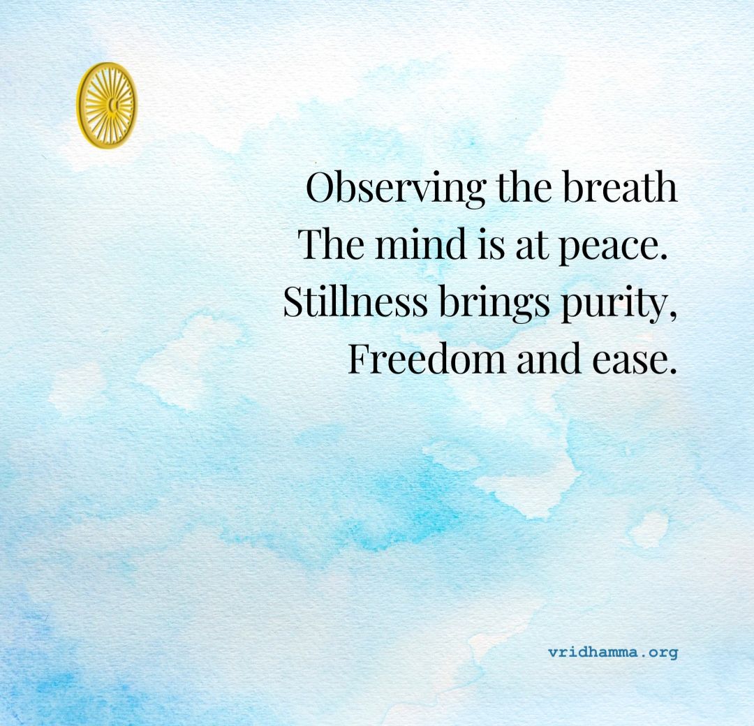 Observing the breath