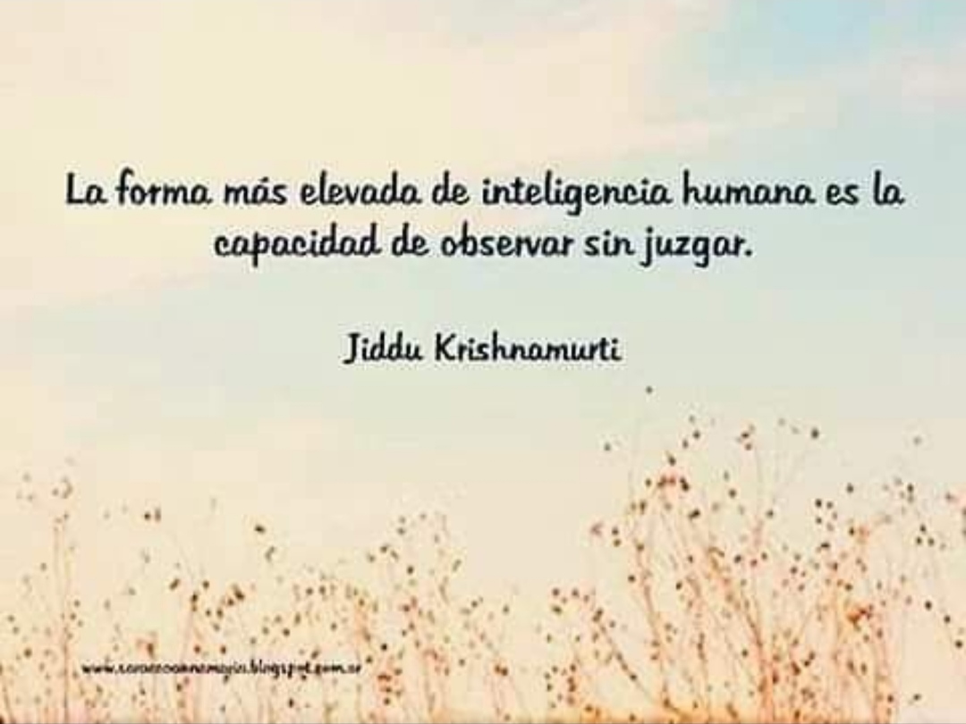 28 de julio de 2025, 19:56